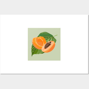 Apricot Summer Fruit Posters and Art
